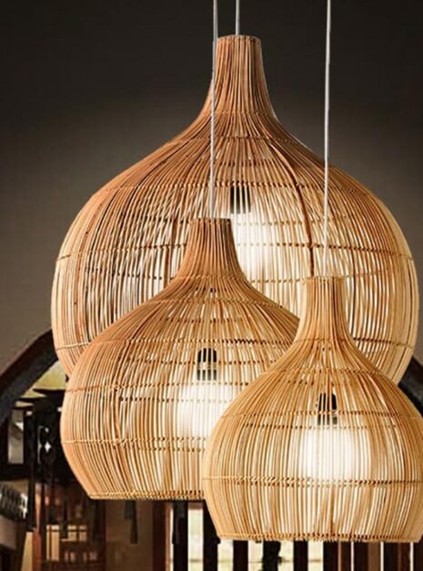 suspension-rotin-0 suspension-rotin-0