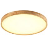 Ultra-mince-LED-plafond-clairage-de-plafond-lampes-pour-le-salon-lustres-de-Plafond-pour-le_1d42ccd6-5c13-4380-ad75-6704a9c95d6b_800x (1)
