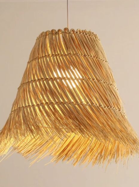 suspension paiille 009